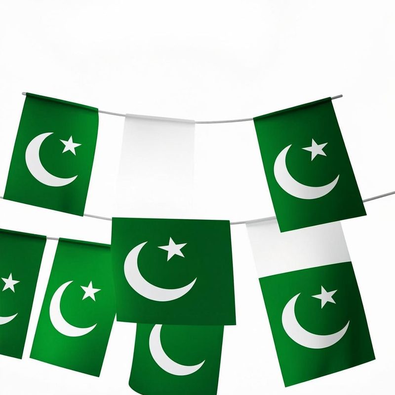 Jhandiyan Bunting (10 Flags) — PhoolNagar.com